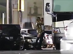裸体的人妖的照片麦克斯韦汤博尔的护送
