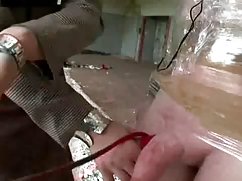 加布里埃尔*安瓦尔性感的图片时娅*伊万诺娃摩洛伊斯兰解放阵线探索者